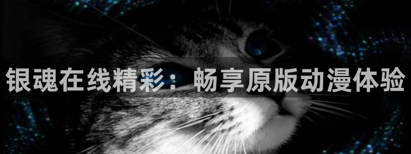 omofun免费正版下载