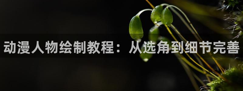 omofun动漫官网网页版入口