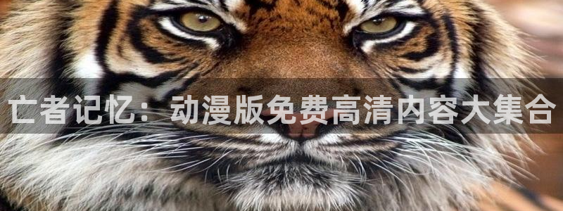 omofun缓存：亡者记忆：动漫版免费高清内容大集合