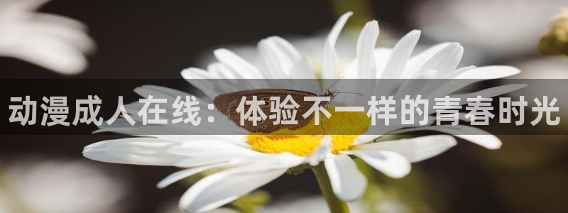 omofun官网下载入口：动漫成人在线：体验不一样的青春时光