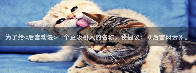 omofun,：为了给<后宫动漫>一个更吸引人的名称，我提议：《后宫风云》。