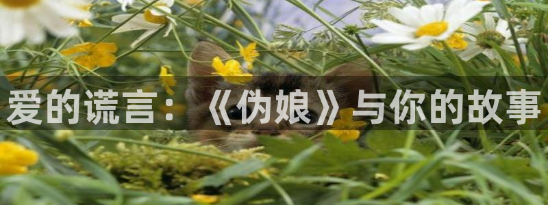 omofun在线观看动漫：爱的谎言：《伪娘》与你的故事