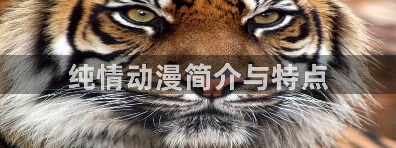 omofun注册：纯情动漫简介与特点