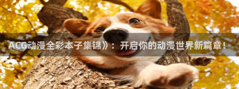 omofun 网站：ACG动漫全彩本子集锦》：开启你的动漫世界新篇章！