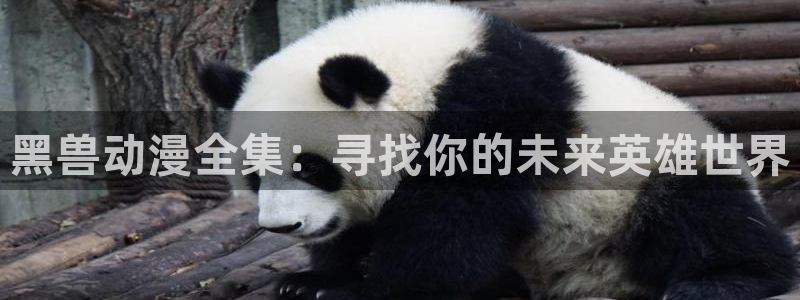 omofun动漫官网app下载：黑兽动漫全集：寻找你的未来英雄世界