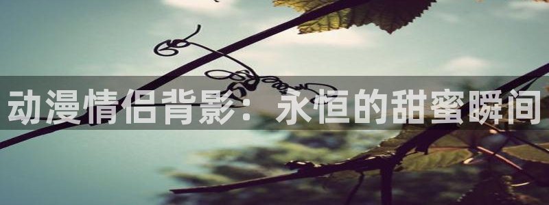 omofun轻量版
