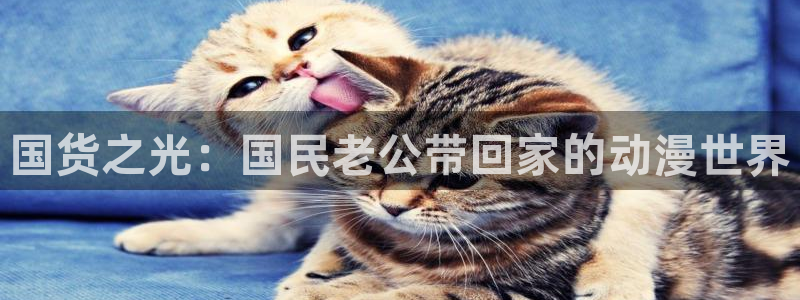 omofun安卓