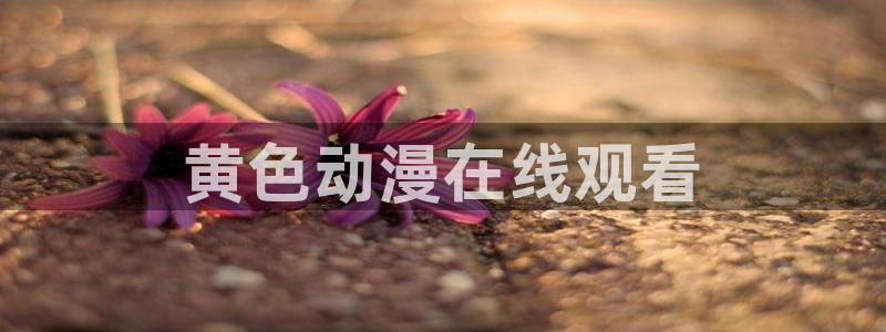 omofun轻量版