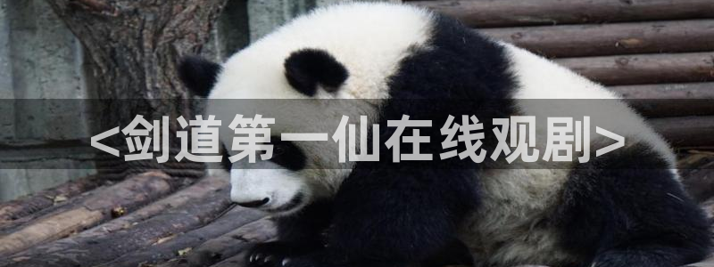 omofun最新纯净版