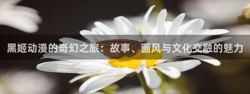 omofun官网网址