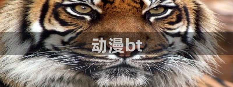 omofun动漫共和国
