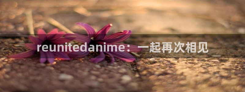 omofun官方版下载