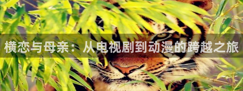 omofun复活版