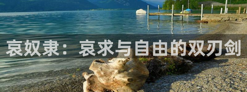 omofun网页版进入：哀奴隶：哀求与自由的双刃剑