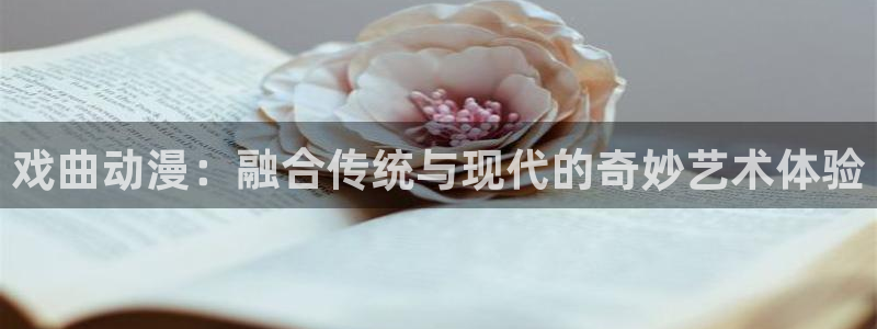 omofun动漫网站：戏曲动漫：融合传统与现代的奇妙艺术体验